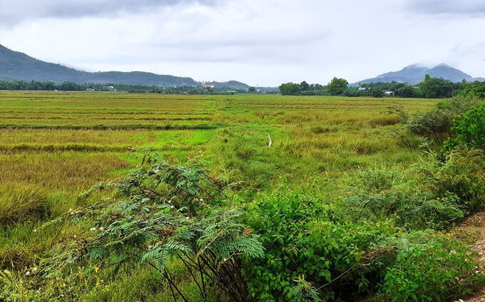 Nở rộ tình trạng "cò" chuyển đổi đất nông nghiệp sang đất ở, Đà Nẵng phát đi cảnh báo