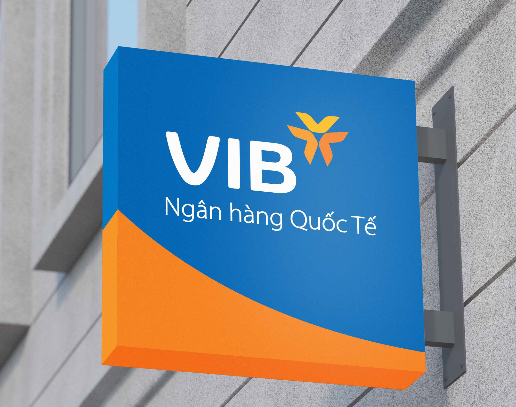 Credit Suisse gọi tên 6 mã ngân hàng nổi bật, VIB được định giá ở mức 7x - Ảnh 1.