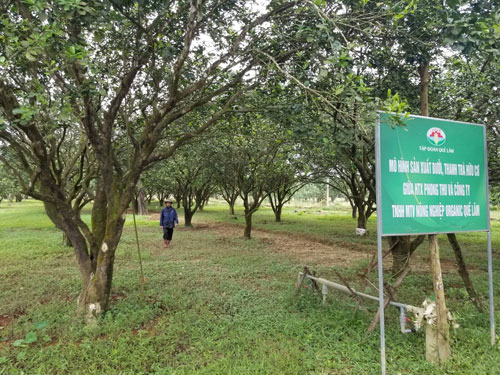 Hầm biogas và vai trò trong mô hình chăn nuôi khép kín