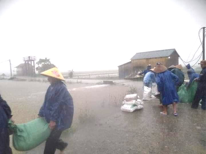 Thừa Thiên - Huế: Mưa trắng trời, nhiều nơi bị ngập, bộ đội dầm mình trong nước cứu lúa giúp dân - Ảnh 8.