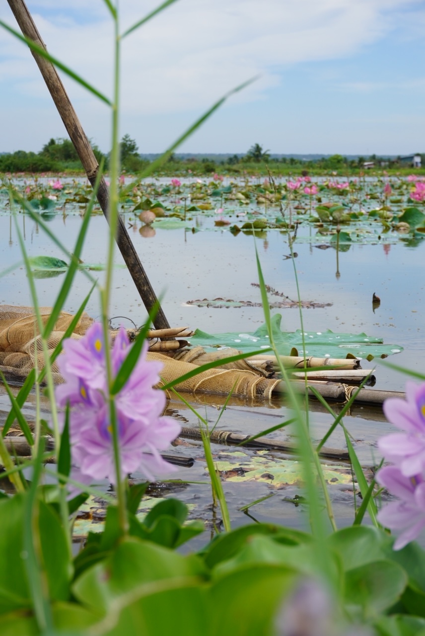 Những điểm đến đẹp lạ không nhiều người biết ở Đồng Nai - Ảnh 5.