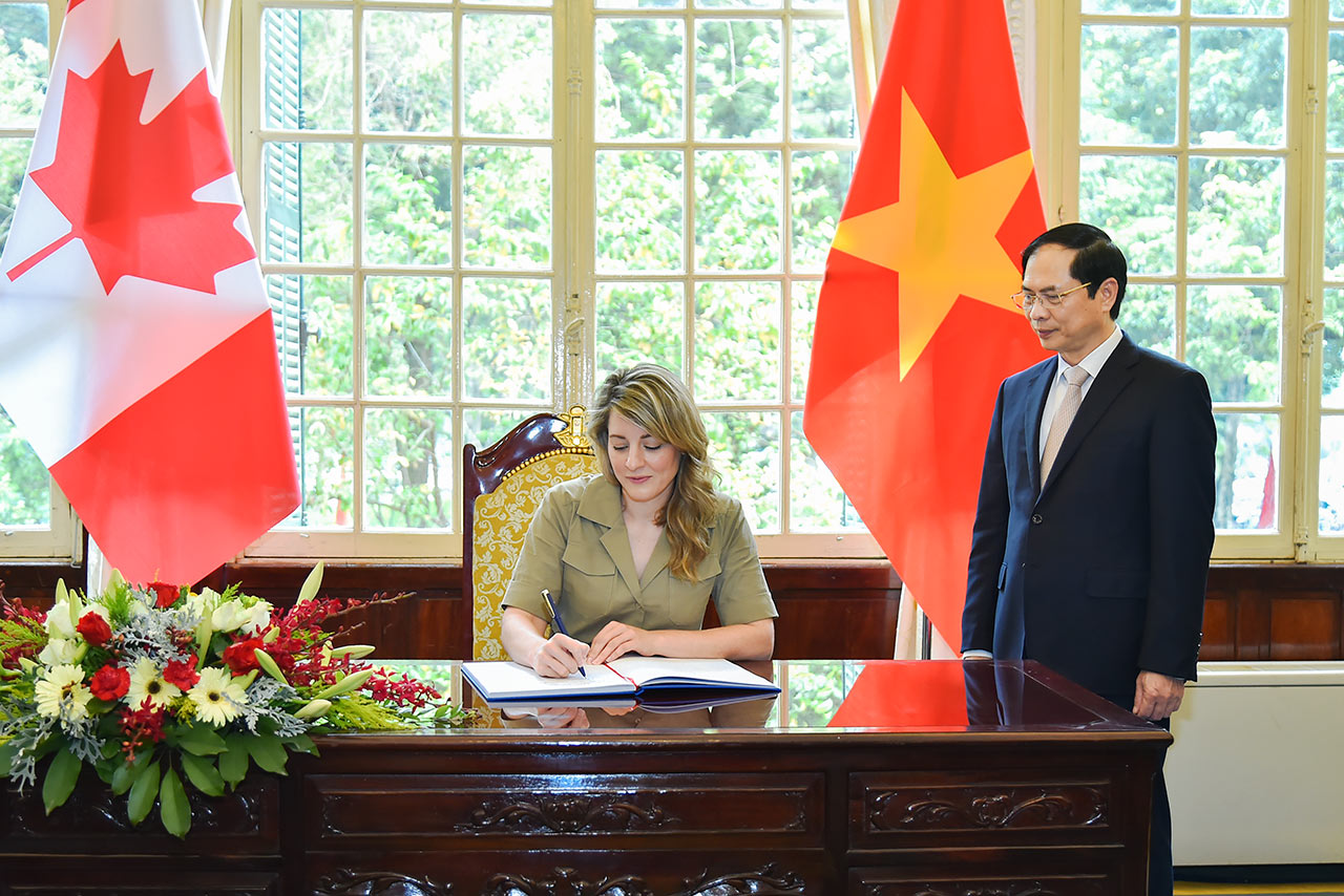 Bộ trưởng Bùi Thanh Sơn đề nghị Canada sớm công nhận hộ chiếu vắc-xin của Việt Nam - Ảnh 4.