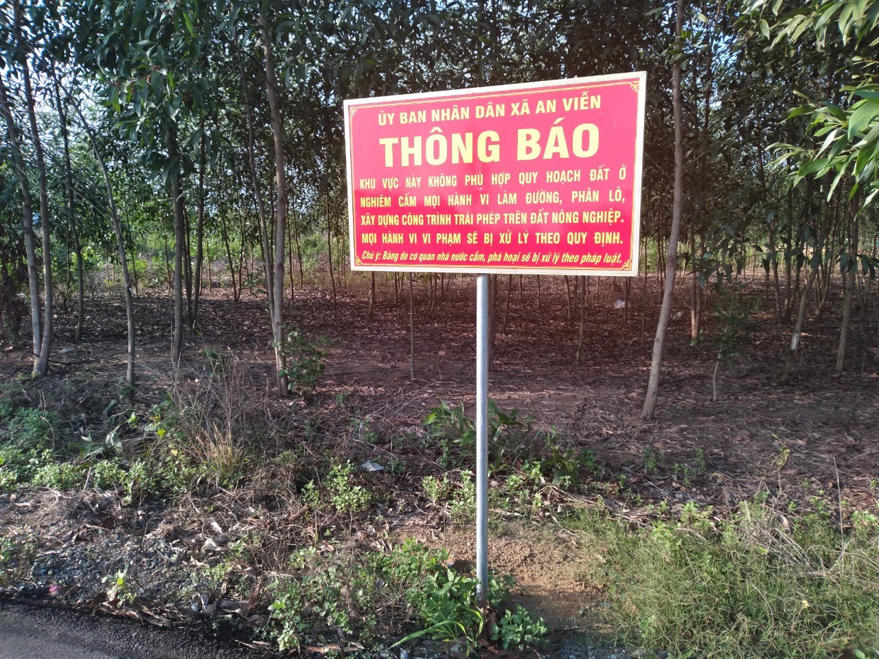 Chi tiết sai phạm đất đai tại điểm nóng xã An Viễn, huyện Trảng Bom - Ảnh 2.