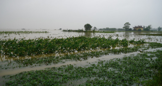 Tổng Cục phòng chống thiên tai kiểm tra thiệt hại mưa lũ ở miền Trung - Ảnh 2.