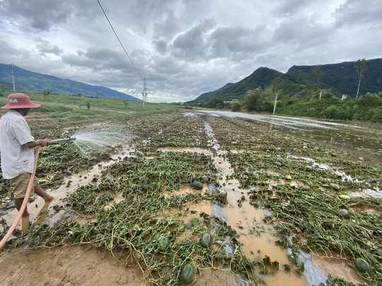Dân Quảng Nam, Quảng Trị xót xa nhìn cảnh mưa lũ dị thường xóa đồng ruộng  - Ảnh 11.