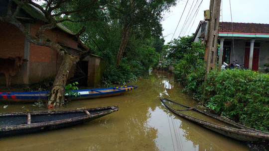 Dân Quảng Nam, Quảng Trị xót xa nhìn cảnh mưa lũ dị thường xóa đồng ruộng  - Ảnh 26.