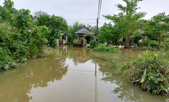Dân Quảng Nam, Quảng Trị xót xa nhìn cảnh mưa lũ dị thường xóa đồng ruộng  - Ảnh 27.