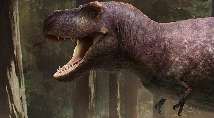 Lý do rùng rợn khiến tay của bạo chúa T-rex hầu như biến mất - Ảnh 1.