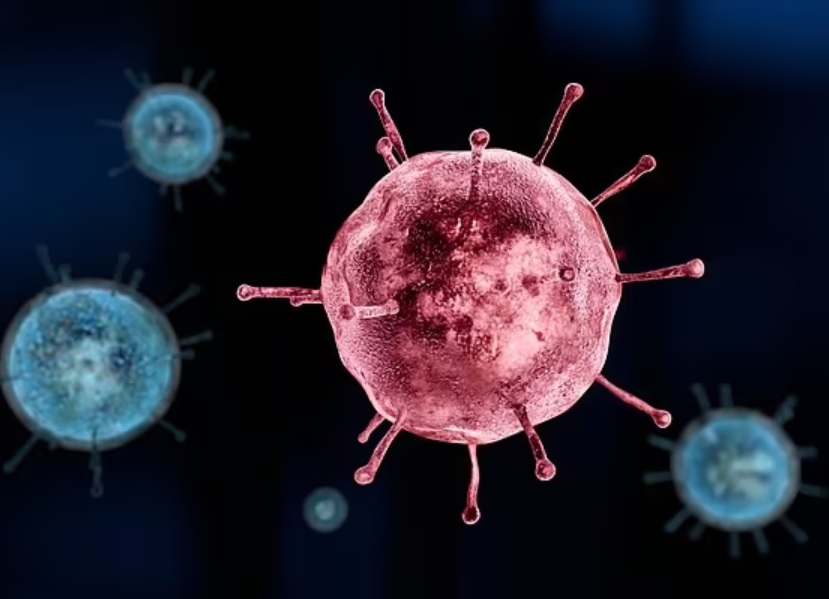 Seasonal flu virus is a descendant of the killer that killed 100 million people?  - Photo 1.