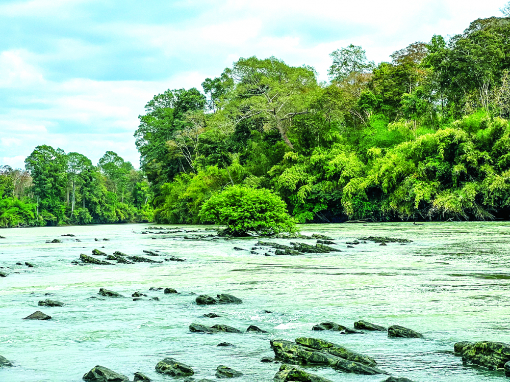 Huyền thoại Ban Mê - Ảnh 1.