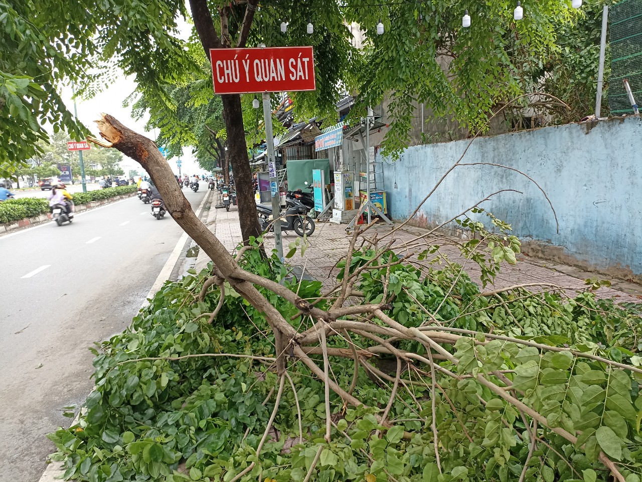 Thấy cành cây rơi, người dân lao ra ứng cứu giữa trời giông gió - Ảnh 8.