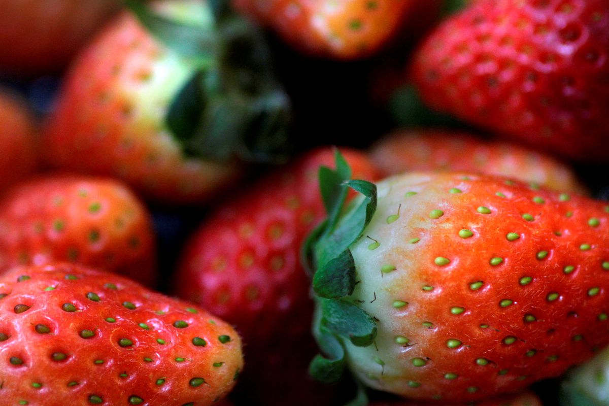The US and Canada have an outbreak of hepatitis A, suspected of being related to organic strawberries - Photo 1.