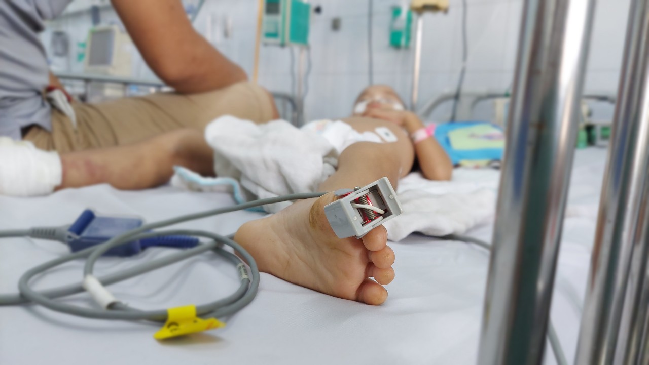 Sốt xuất huyết phức tạp, các bệnh viện ở TP HCM đồng loạt tập huấn điều trị - Ảnh 1. Sốt xuất huyết phức tạp, các bệnh viện ở TP HCM đồng loạt tập huấn điều trị - Ảnh 1.