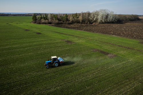 The Ukraine seed bank is in danger of being destroyed - Photo 1.