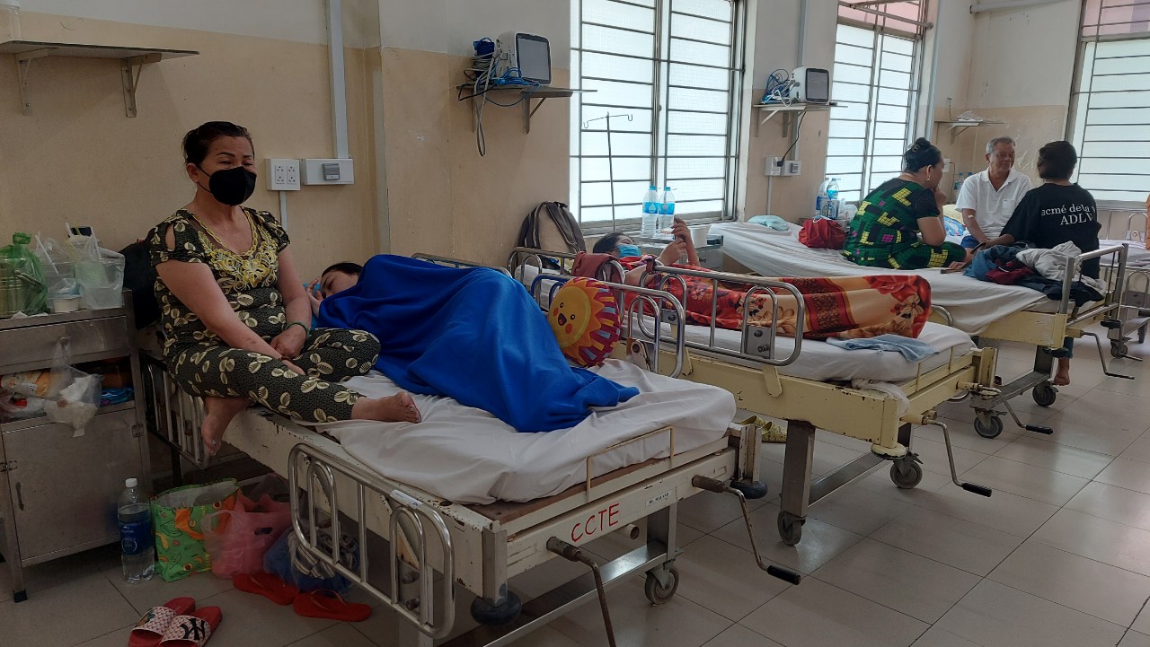 Tp Hcm: Bệnh Nhân Sốt Xuất Huyết Đang Tăng Nhanh Tại Các Bệnh Viện - Báo  Người Lao Động