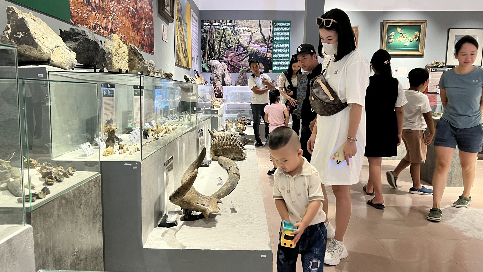Có gì đặc biệt tại triển lãm hóa thạch? - Ảnh 2.