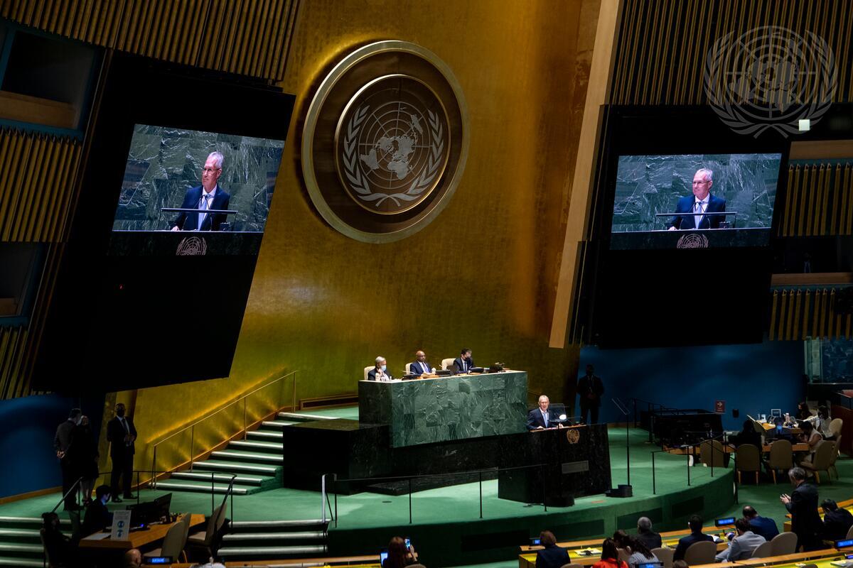 Vietnam as Vice President of the United Nations General Assembly - Photo 1.