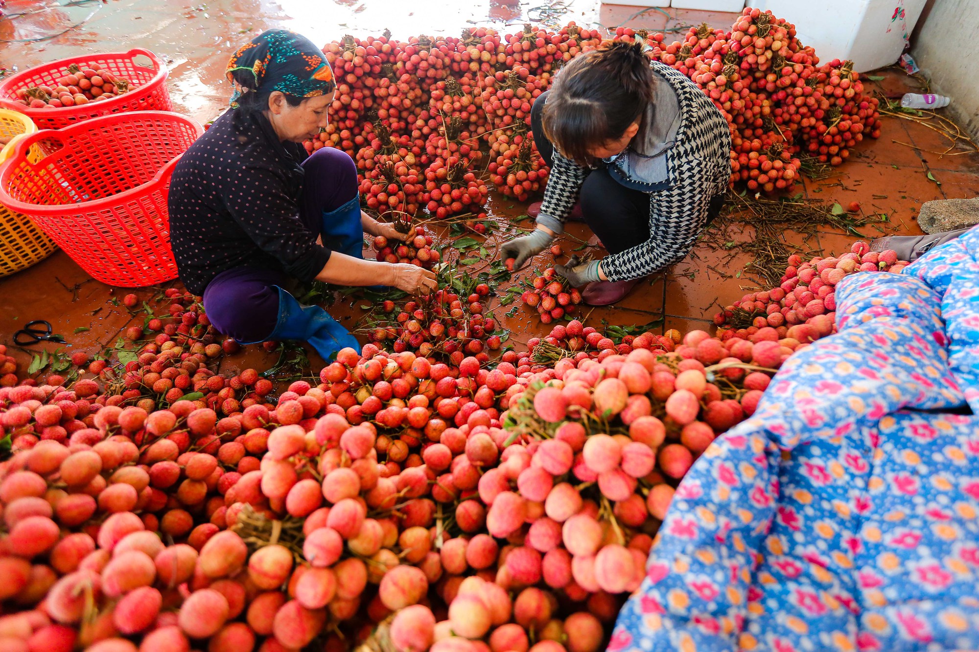 Bán sức lấy tiền, phu vải kiếm tiền triệu mỗi ngày - Ảnh 5.