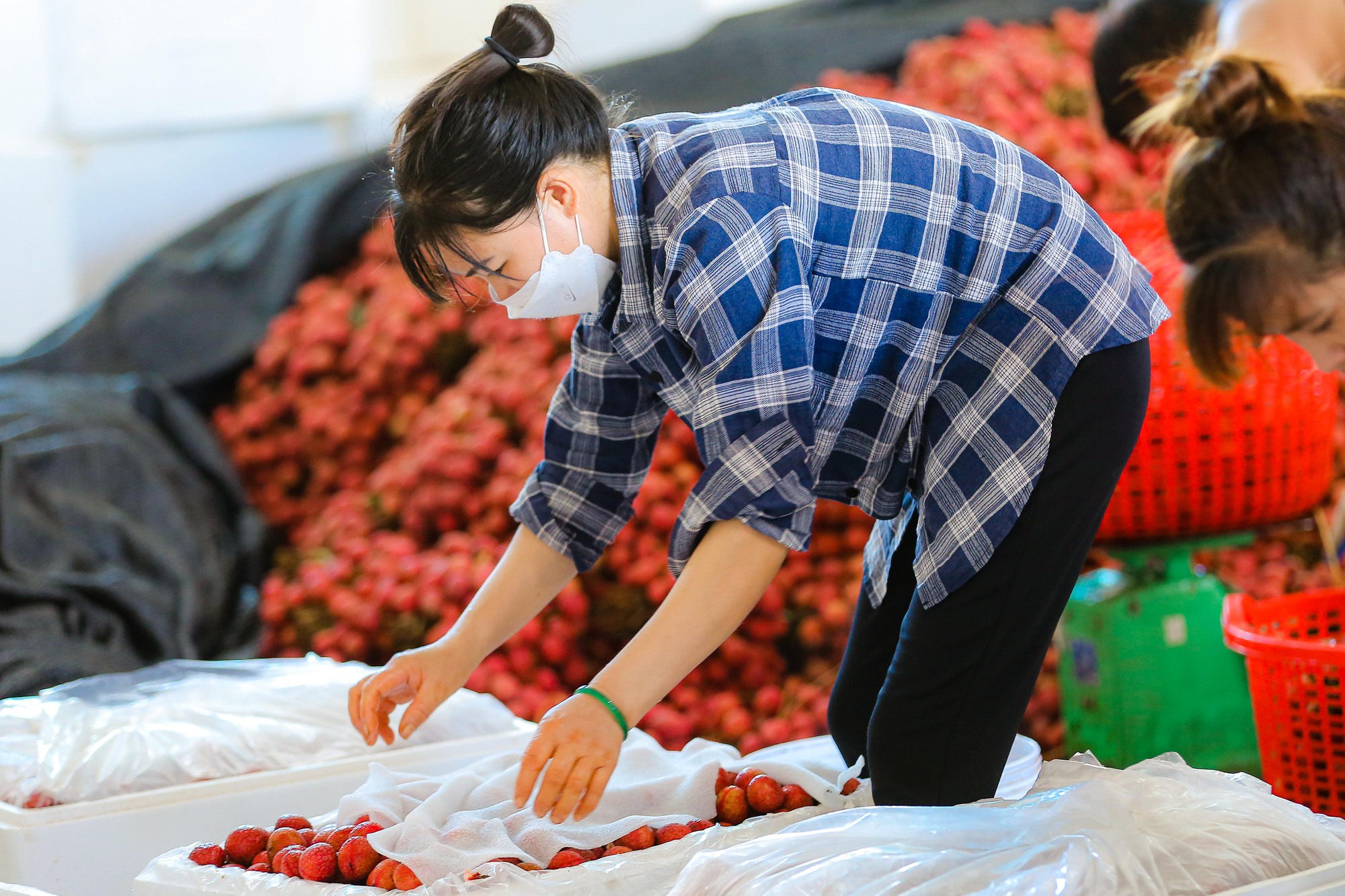 Bán sức lấy tiền, phu vải kiếm tiền triệu mỗi ngày - Ảnh 8.