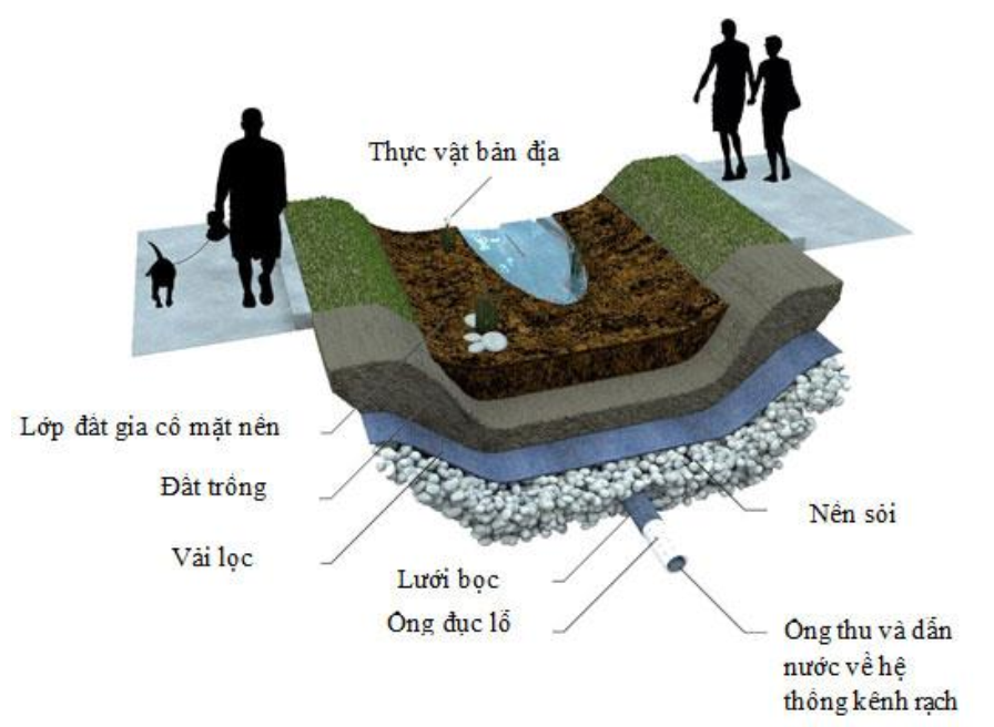 Tổng hợp 94 hình về mô hình đất ngập nước nhân tạo  NEC