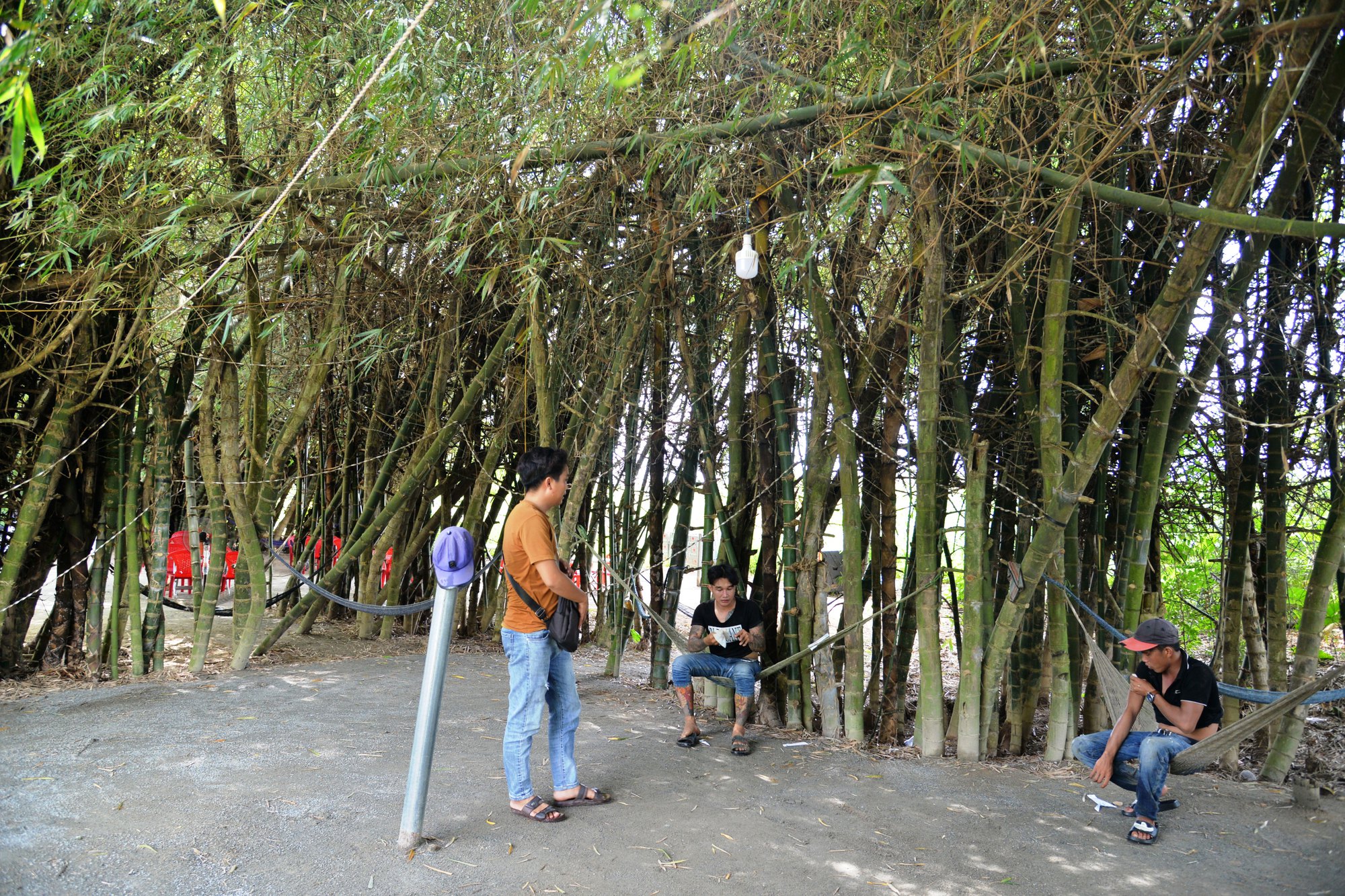 Ốc đảo giữa dòng Trà Khúc - Ảnh 2. Ốc đảo giữa dòng Trà Khúc - Ảnh 2.