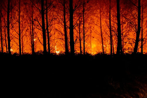 Cháy rừng, nắng nóng hoành hành ở châu Âu - Ảnh 1.