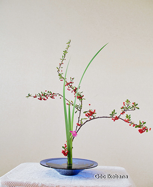 Triển lãm hoa đạo Ikebana Nhật Bản đang diễn ra tại TP HCM - Ảnh 5.