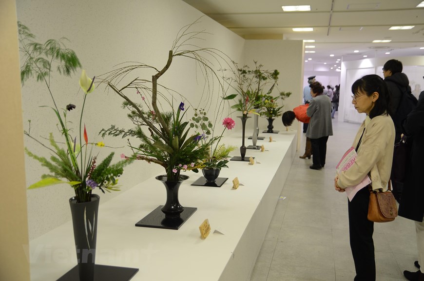Triển lãm hoa đạo Ikebana Nhật Bản đang diễn ra tại TP HCM - Ảnh 15.