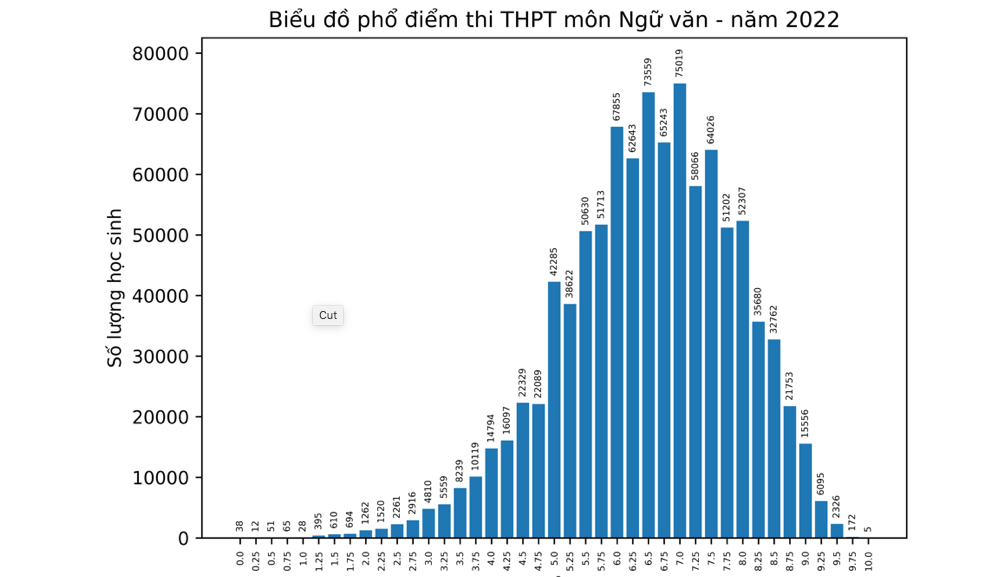 Bộ GD-ĐT công bố phổ điểm thi tốt nghiệp THPT 2022 - Ảnh 8.
