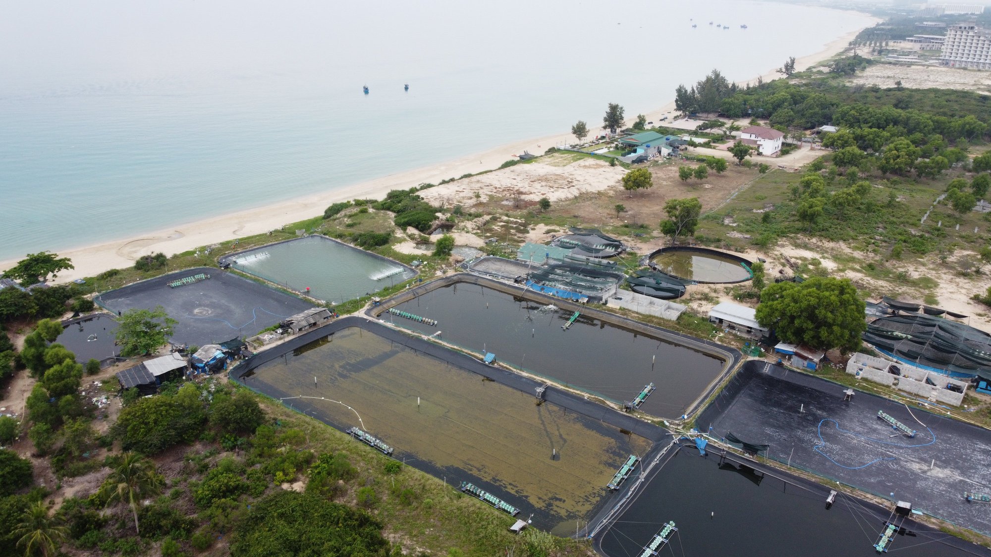 Khám phá hình ảnh về Khánh Hòa và nước thải, bạn sẽ bất ngờ với những con tôm đen đặc biệt. Hãy cùng xem và tìm hiểu về quá trình xử lý nước thải tại đây.