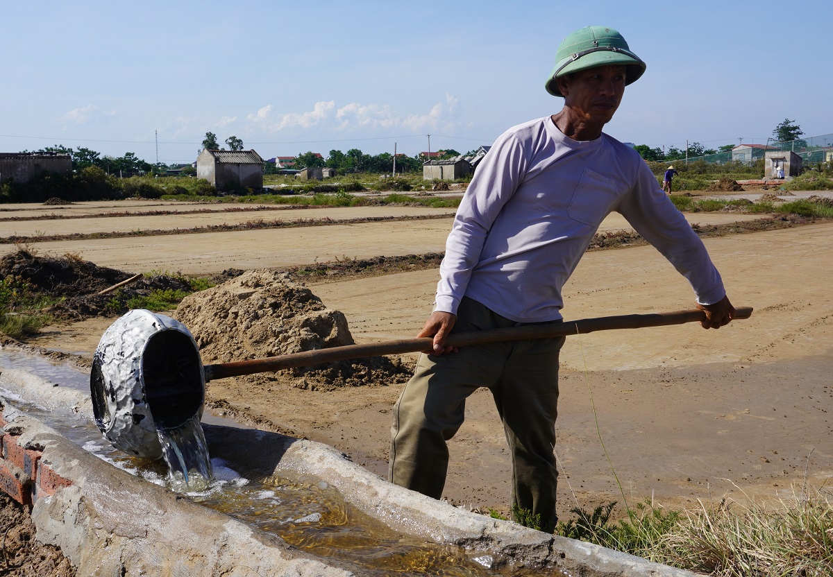 Nghề kỳ lạ, trời càng nắng như đổ lửa nông dân càng vui - Ảnh 8.