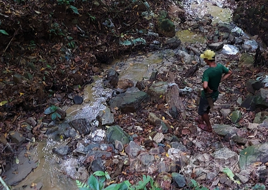 Rầm rộ khoét núi, phá rừng tìm vàng: UBND tỉnh Quảng Trị chỉ đạo nóng - Ảnh 2.