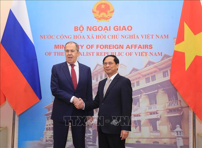 Bộ trưởng Ngoại giao Bùi Thanh Sơn hội đàm với Bộ trưởng Ngoại giao Nga Sergey Lavrov - Ảnh 3.