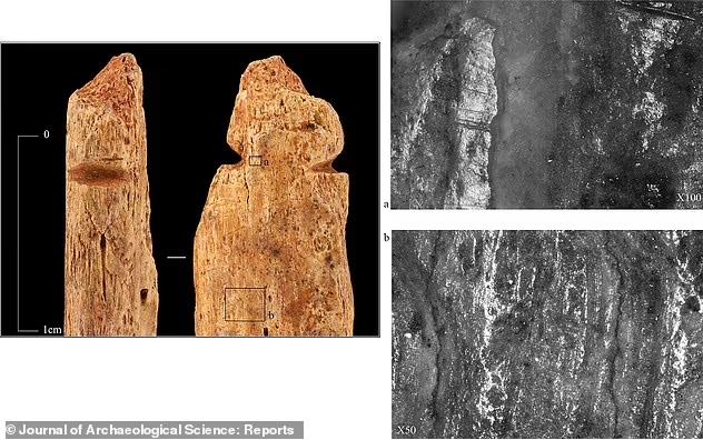 Kho b&aacute;u kinh ho&agrave;ng ở Nga: thuộc về người qu&aacute;i vật 8.200 tuổi? - Ảnh 1.