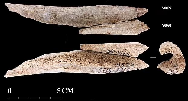 Kho b&aacute;u kinh ho&agrave;ng ở Nga: thuộc về người qu&aacute;i vật 8.200 tuổi? - Ảnh 2.