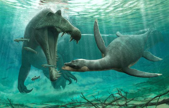 Kinh hãi hài cốt quái vật hồ Loch Ness dài 3 m dưới sông Morocco - Ảnh 1.