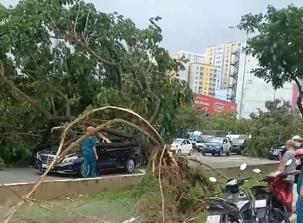 Hàng loạt cây xanh trên đường Võ Văn Kiệt bật gốc, đè trúng ôtô - Ảnh 2.