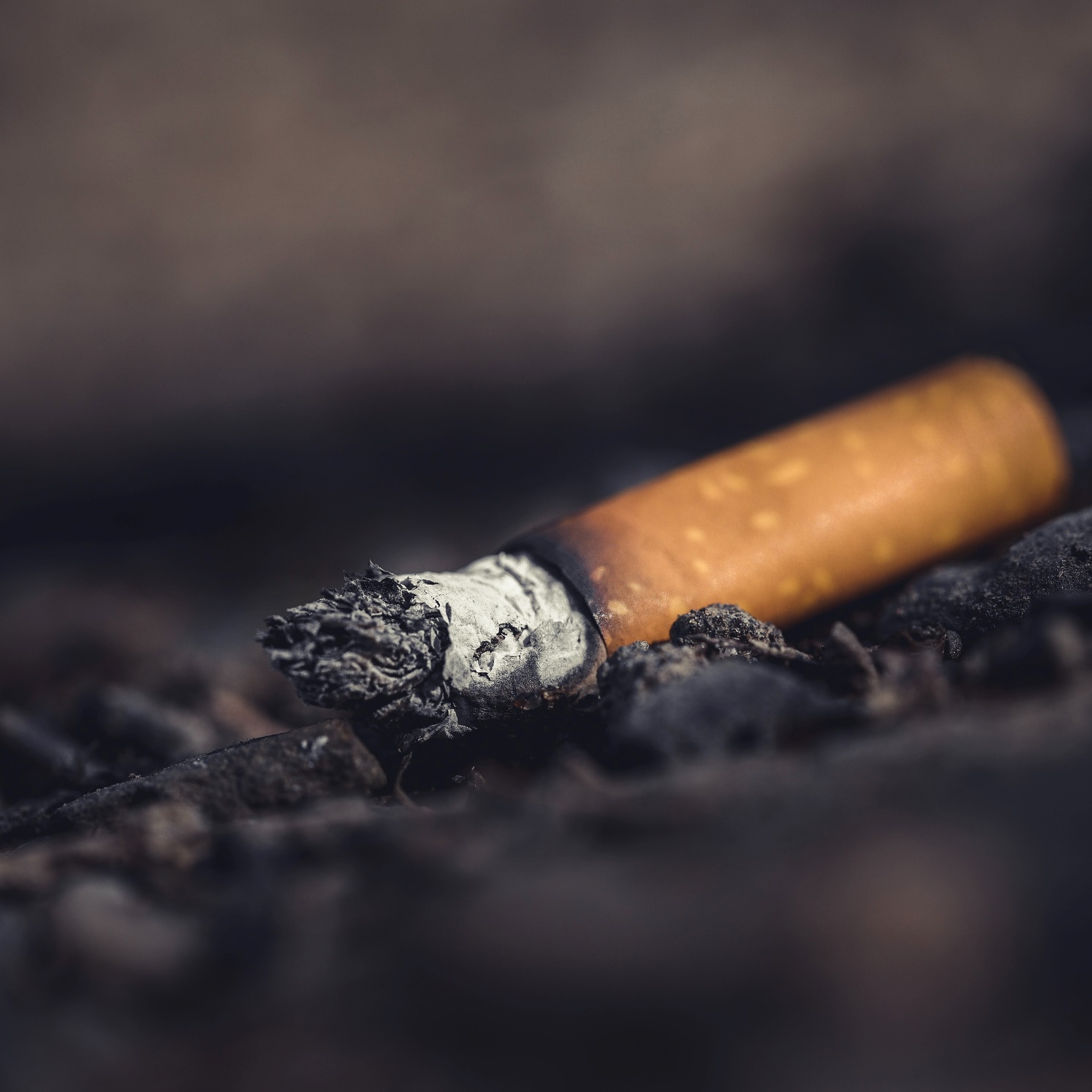Châu Á và dịch chuyển “không khói” của ngành thuốc lá - Ảnh 2.