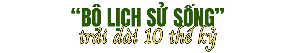Bí mật lịch sử ngàn năm dưới lòng đất - Ảnh 1.