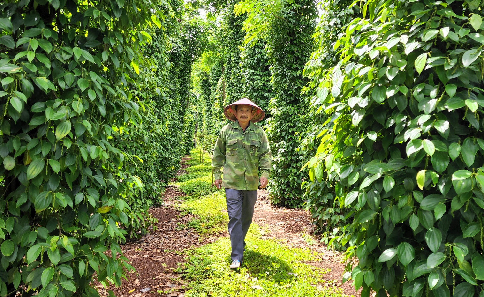 Tỉnh Đắk Lắk chỉ đạo giải quyết vụ doanh nghiệp chây ì giải quyết chế độ - Ảnh 1.