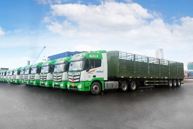 THILOGI cung ứng dịch vụ vận chuyển gia súc chuyên nghiệp - Ảnh 1.