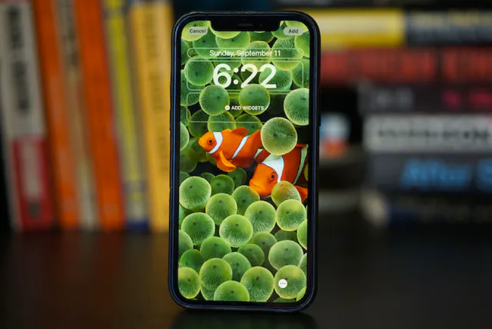 Biến điện thoại của bạn trở nên độc đáo với bộ sưu tập hình nền iPhone 14 màu xanh lá cây. Thích hợp với nhiều phong cách và địa điểm khác nhau, những hình nền này chắc chắn sẽ làm cho điện thoại của bạn nổi bật hơn. Nhấp vào hình ảnh để tải xuống và trang trí điện thoại của bạn ngay hôm nay.