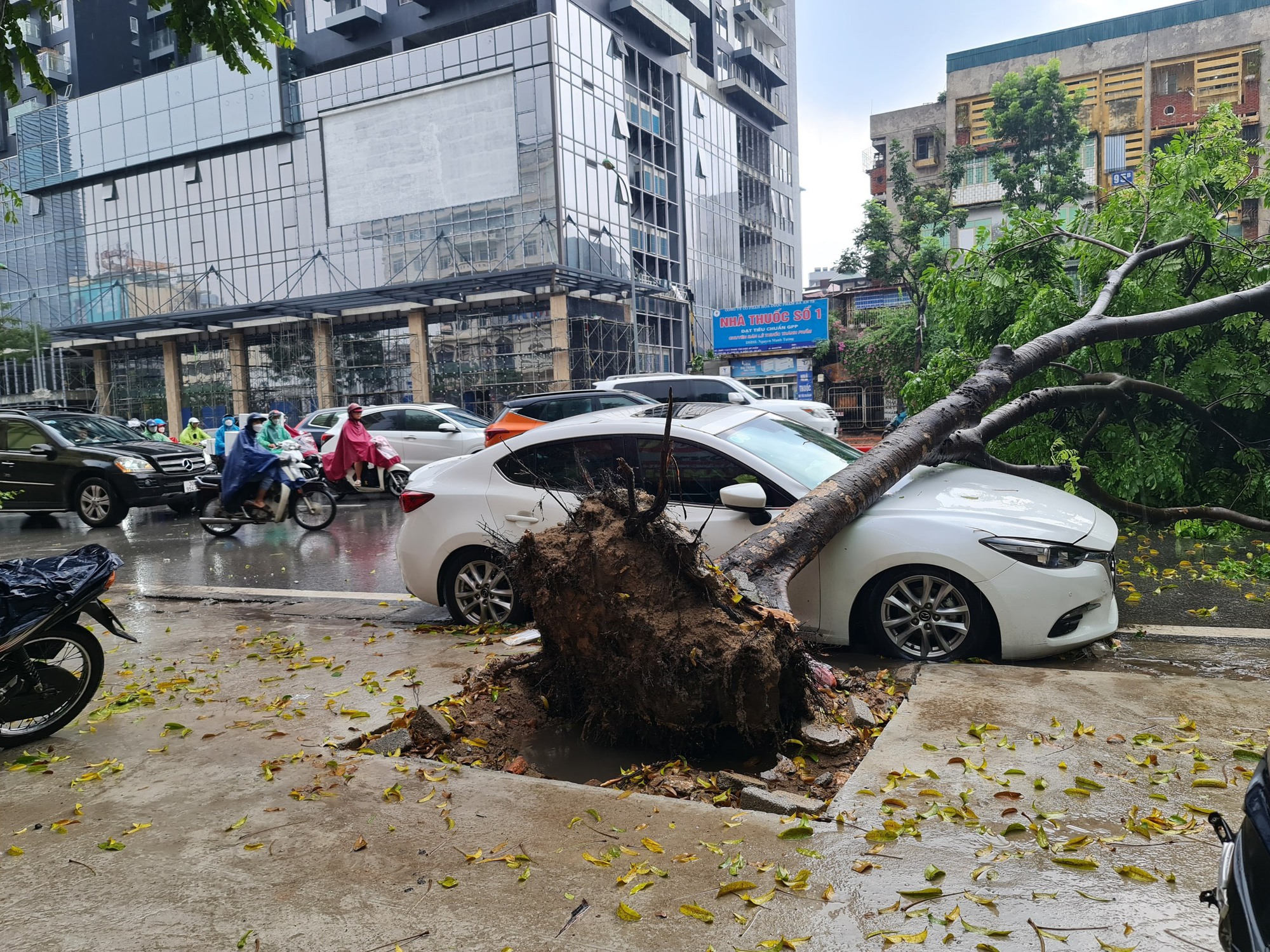 Nhiều tuyến phố ngập sâu, xế hộp bị cây bật gốc đè trúng trong cơn mưa lớn - Ảnh 2.