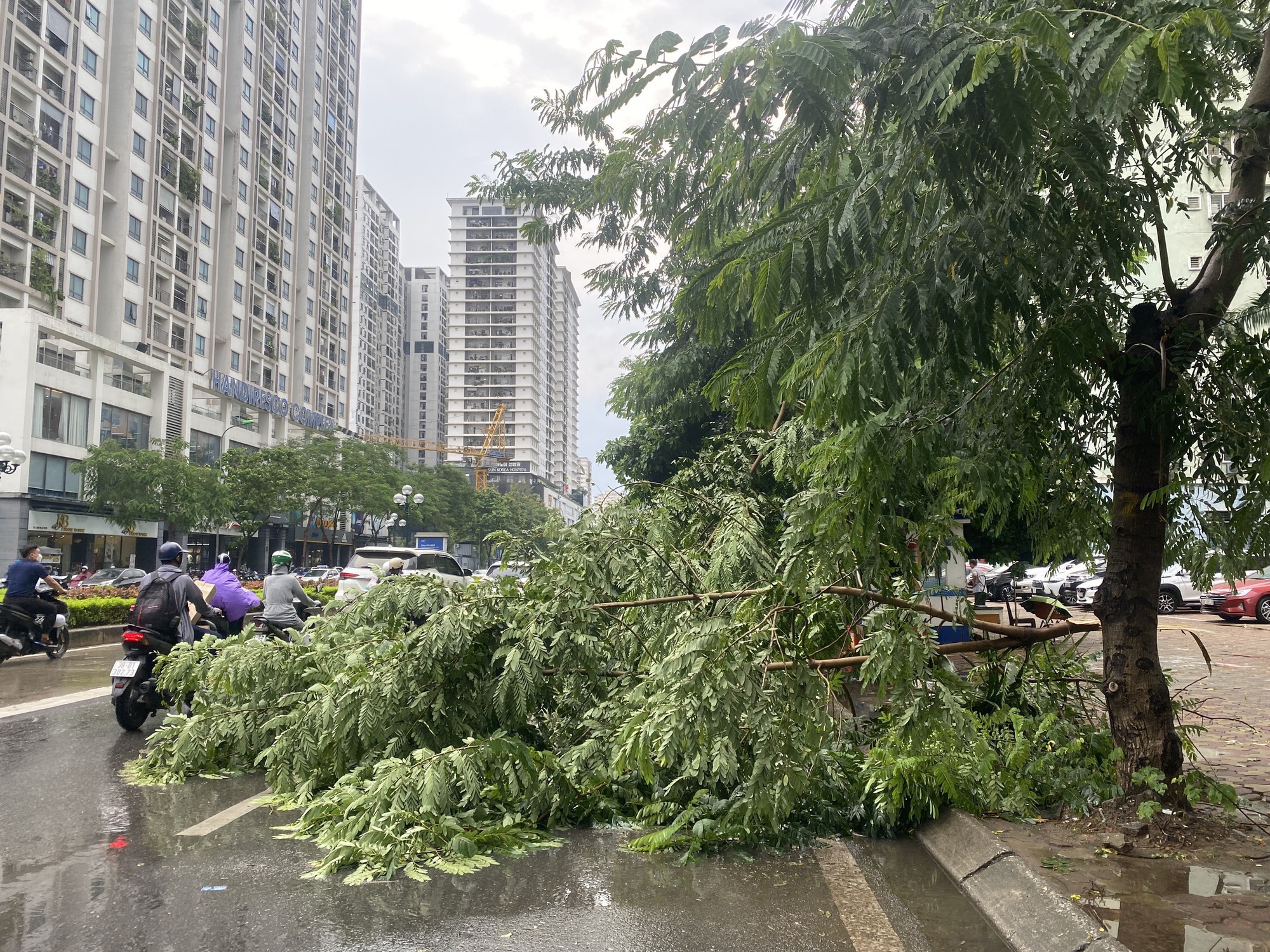 Nhiều tuyến phố ngập sâu, xế hộp bị cây bật gốc đè trúng trong cơn mưa lớn - Ảnh 1.