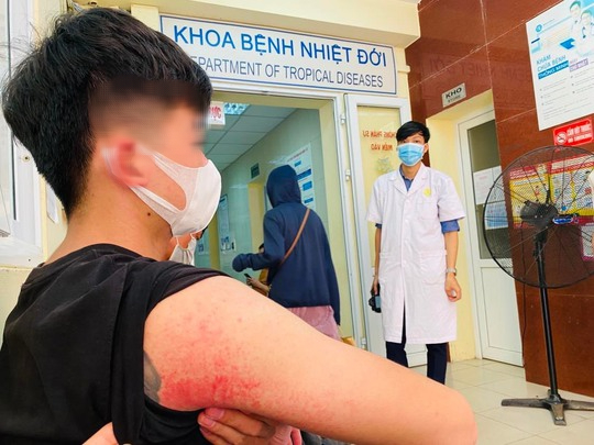 Việt Nam vừa nhận 1.500 túi dịch truyền dextran điều trị sốc sốt xuất huyết - Ảnh 1.