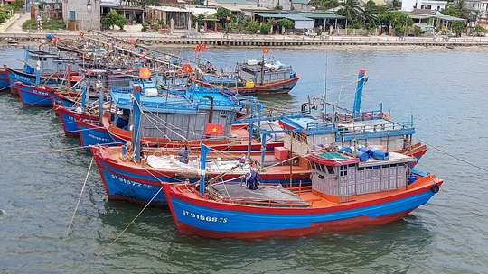 Quảng Nam, Đà Nẵng, Thừa Thiên - Huế... hối hả ứng phó bão Noru - Ảnh 31.