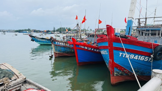 SIÊU BÃO NORU: Hối hả chạy bão ở Thừa Thiên - Huế, Bình Định - Ảnh 8.