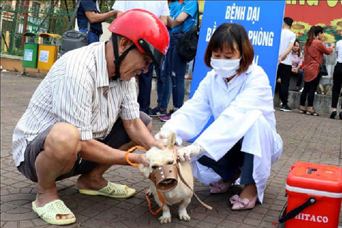 40 người tử vong, Bộ Y tế cảnh báo nguy cơ bệnh dại bùng phát - Ảnh 2. 40 người tử vong, Bộ Y tế cảnh báo nguy cơ bệnh dại bùng phát - Ảnh 2.