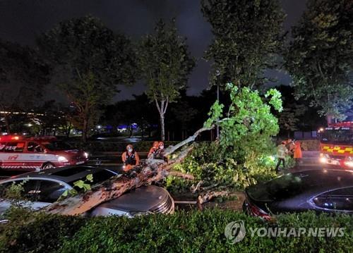 Vừa rời Hàn Quốc, siêu bão Hinnamnor quật ngược lại Nhật Bản - Ảnh 4.