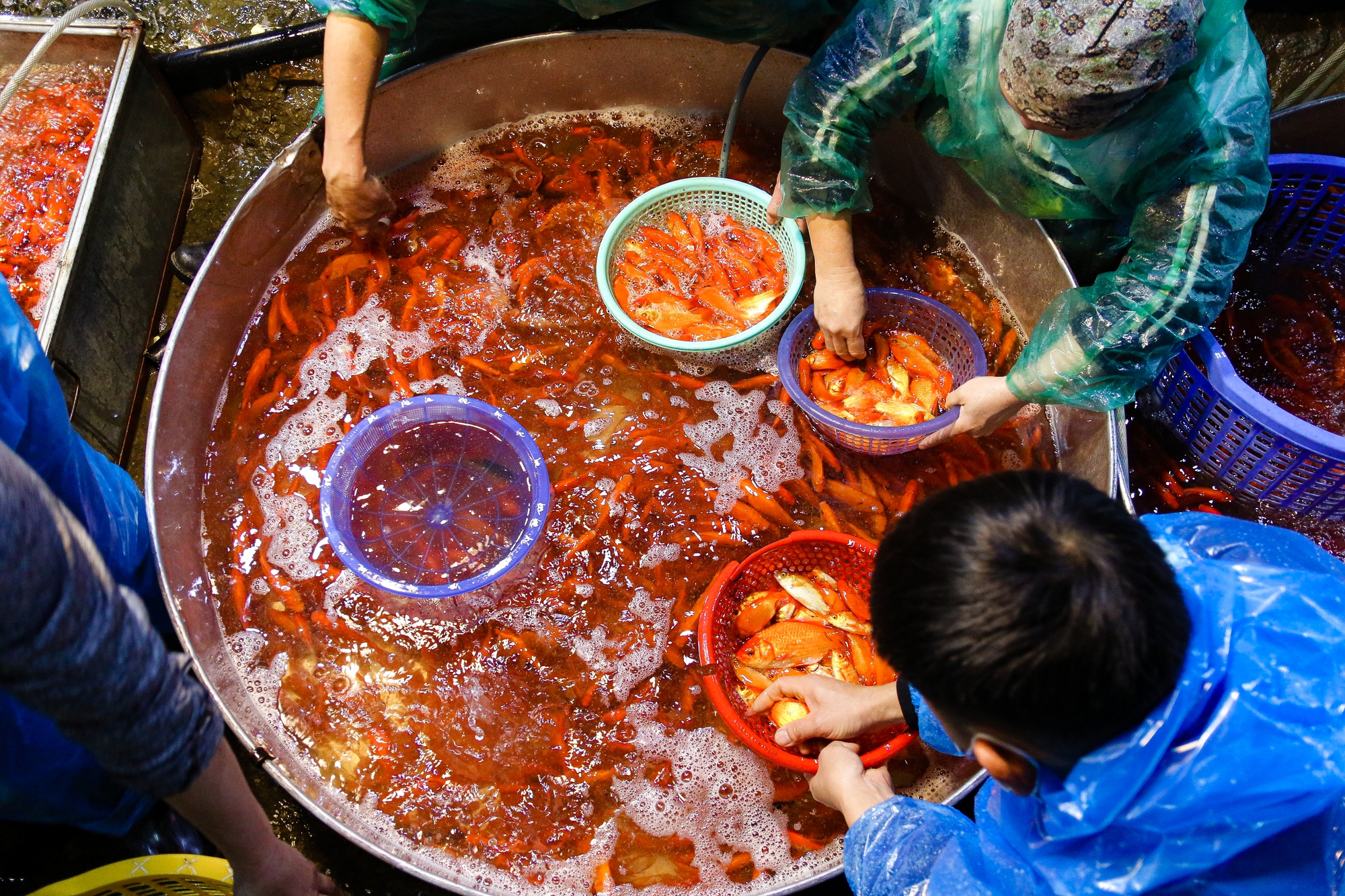 Chợ cá Yên Sở nhộn nhịp trước ngày ông Công - ông Táo - Ảnh 6.